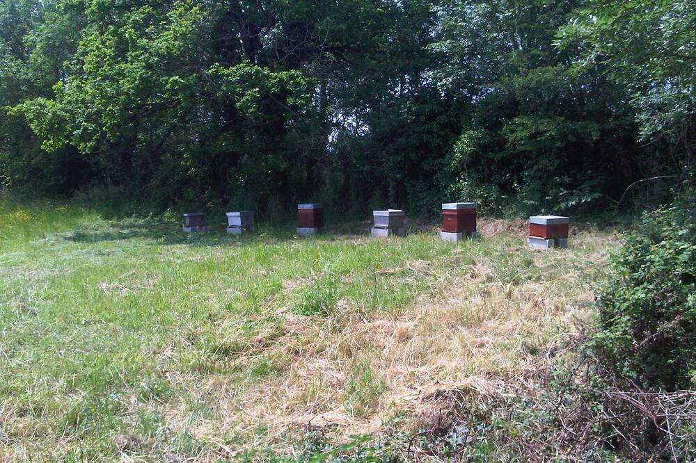 Photo of Others in La Creche