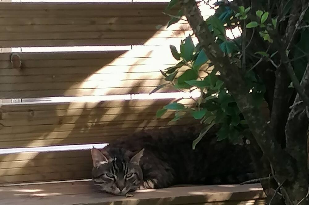 Photo of Others in La Creche