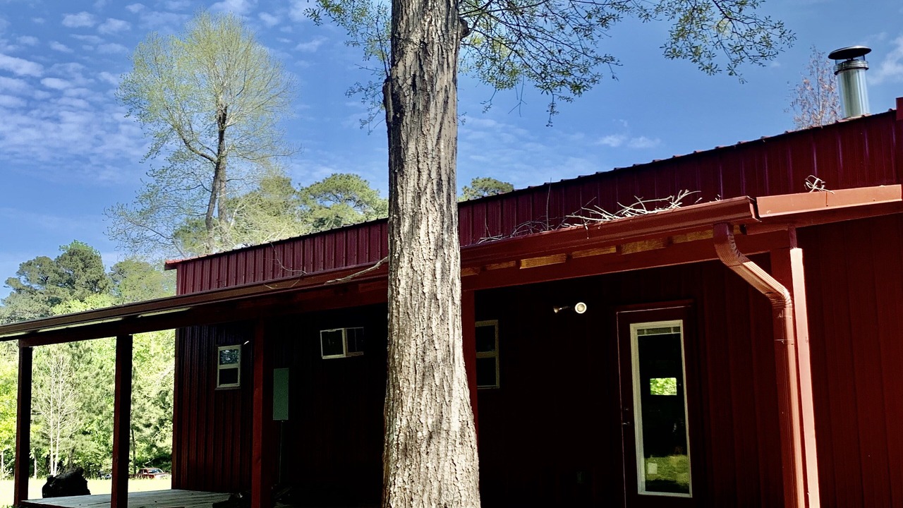 Photo of Outdoor in Zavalla