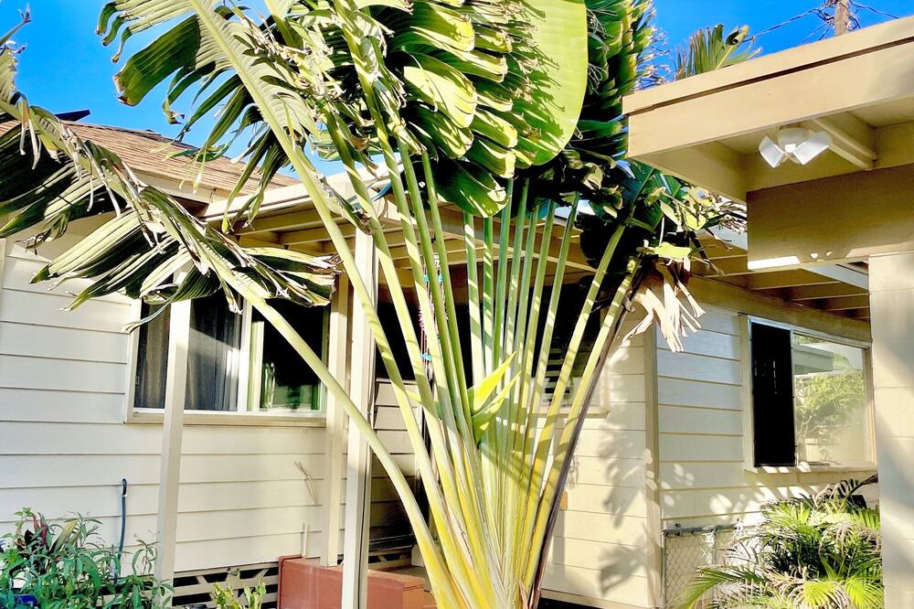 Photo of Outdoor in Ewa