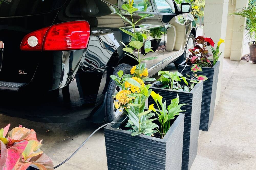 Photo of Others in Ewa