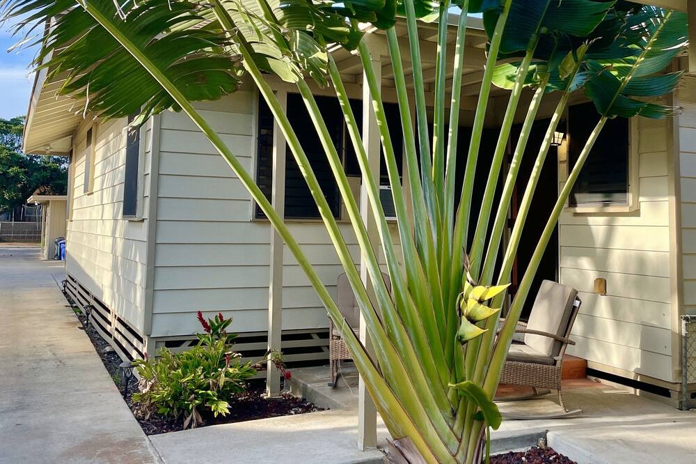 Photo of Others in Ewa