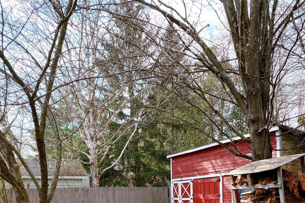 Photo of Outdoor in Saranac Lake
