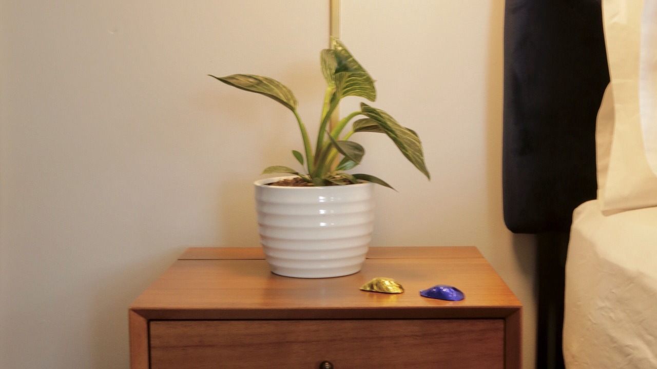 Photo of Others in Hudson