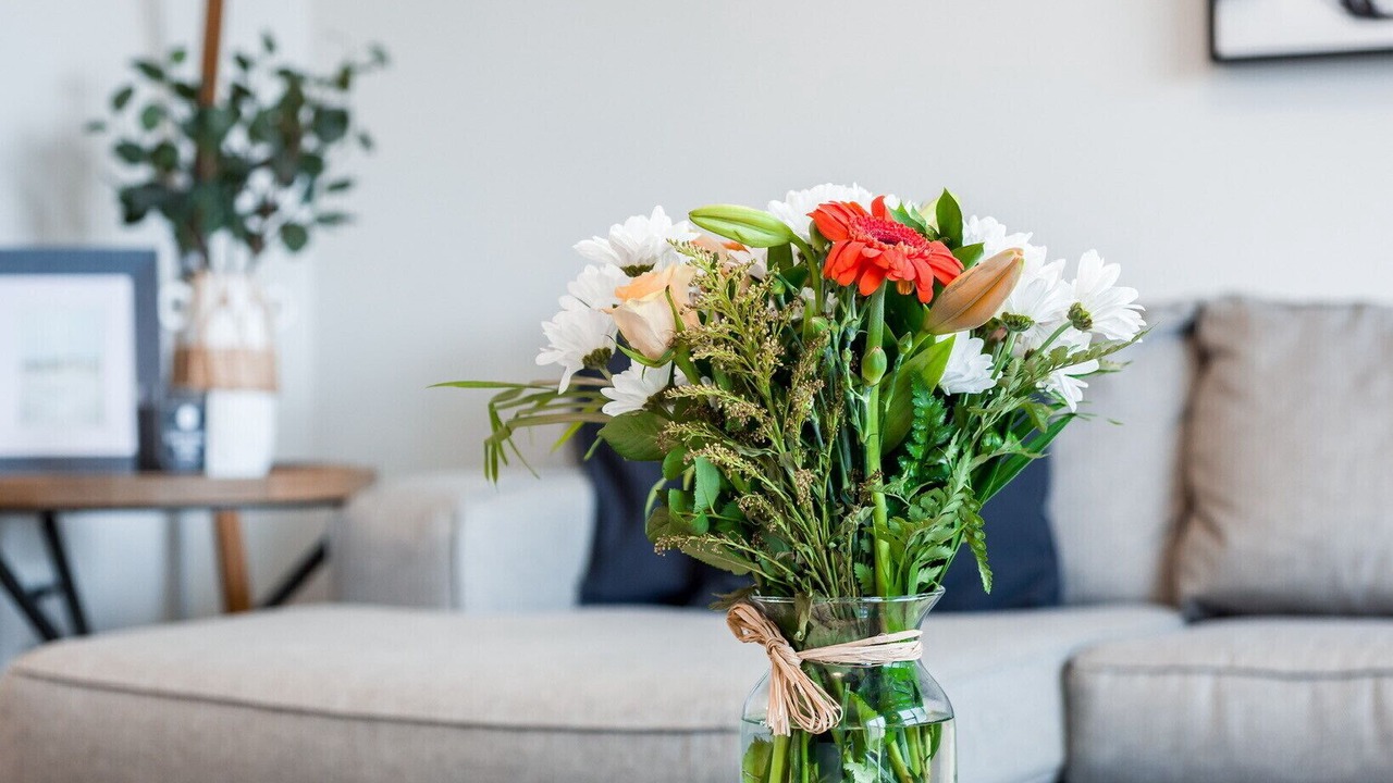 Photo of Others in Halifax