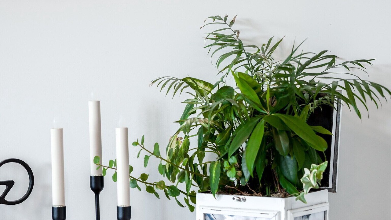 Photo of Others in Halifax