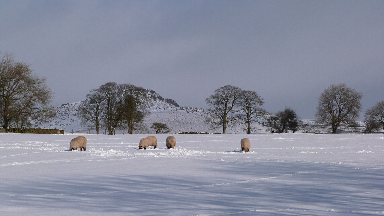 Photo of Others in Embsay
