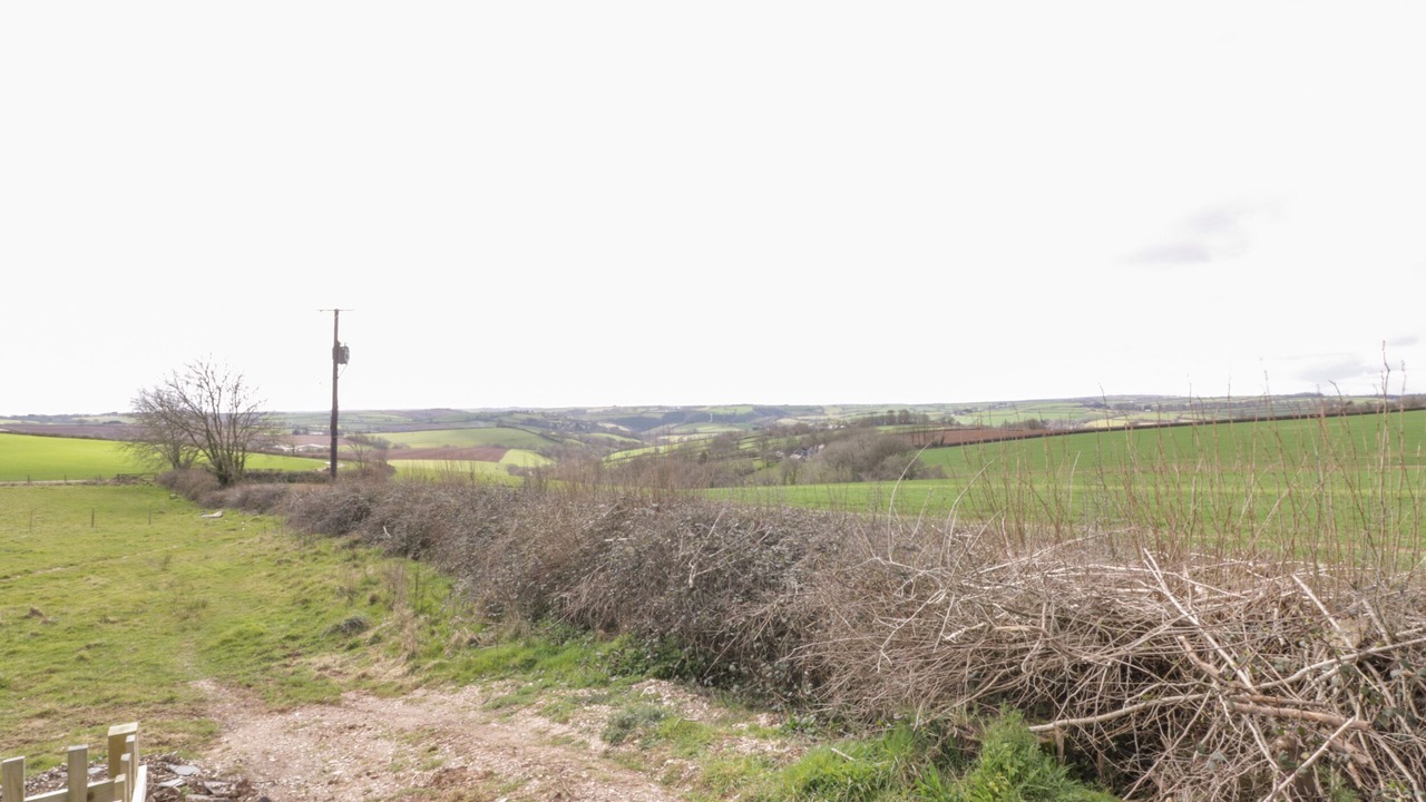 Photo of Others in Liskeard