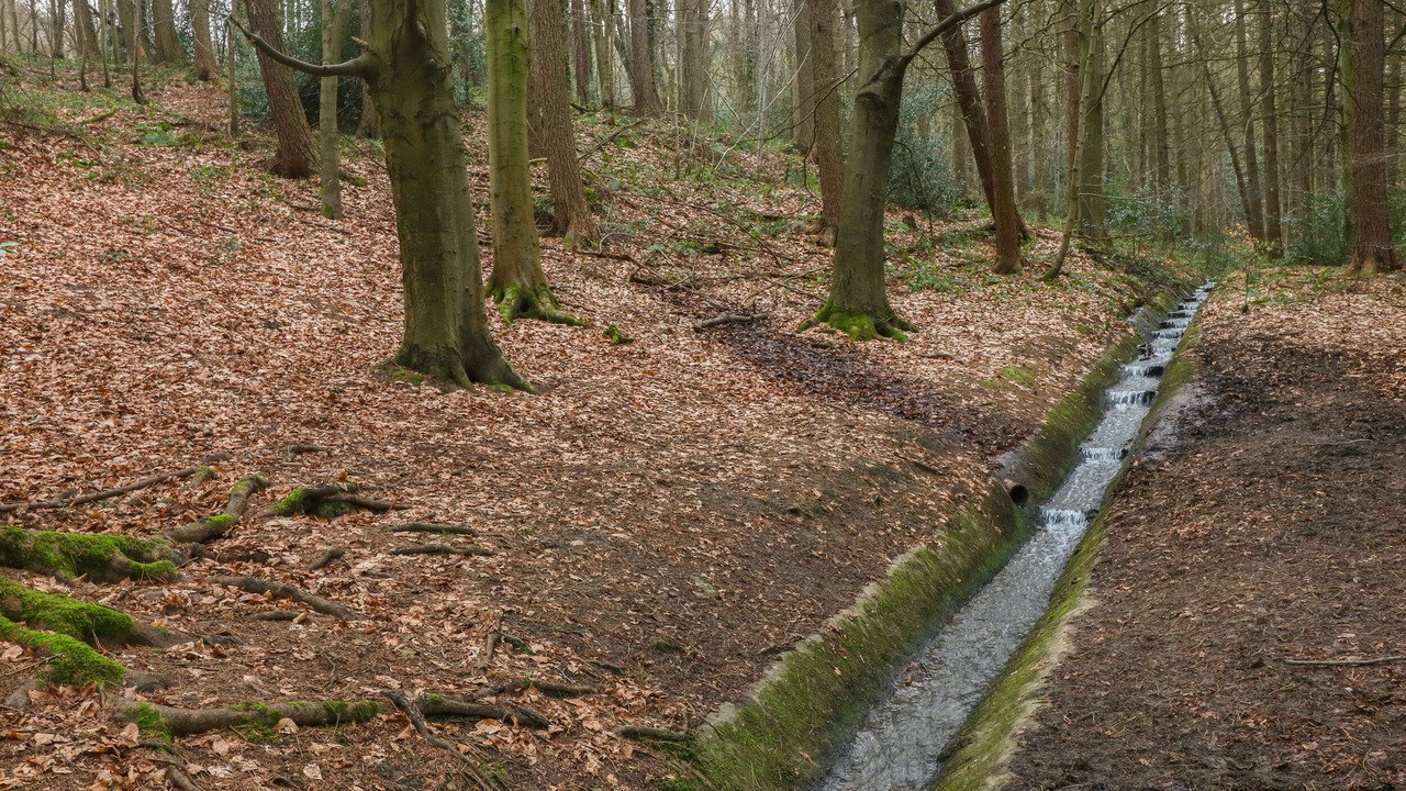 Photo of Others in Hoylandswaine