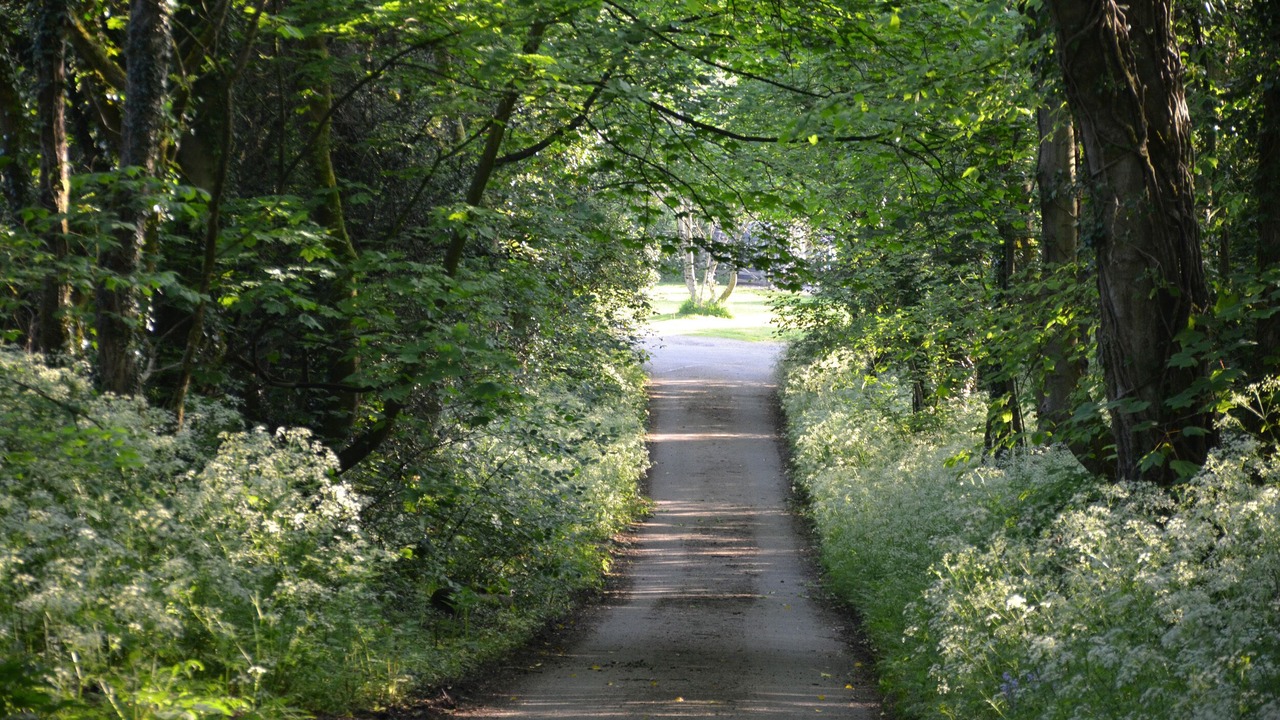 Photo of Others in Carsington