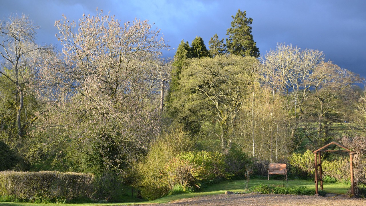 Photo of Others in Carsington