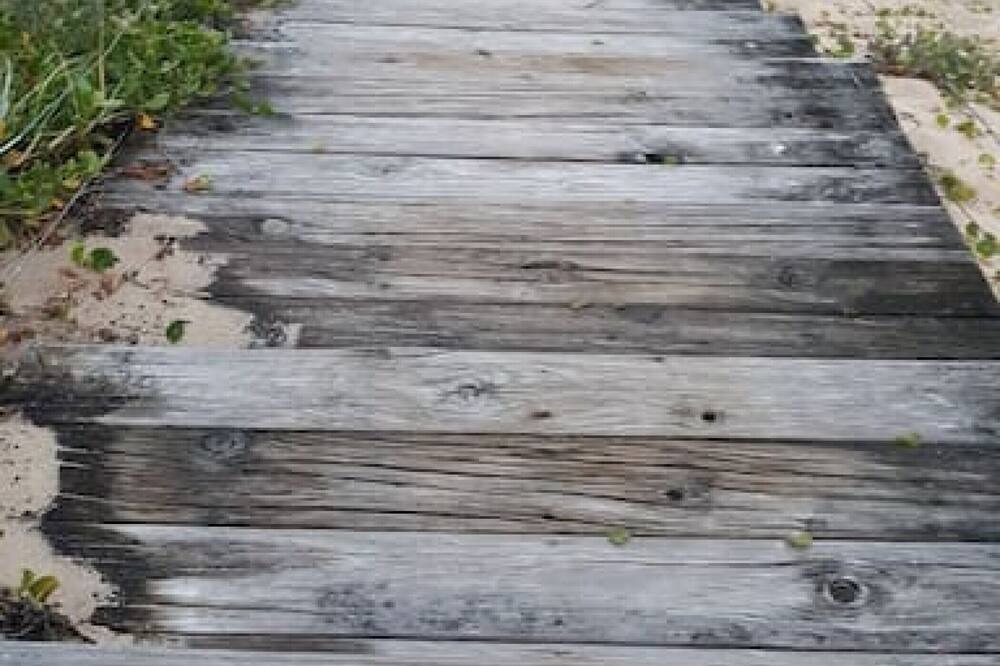 Photo of Others in Budgewoi