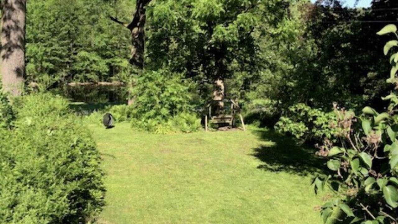 Photo of Outdoor in Simcoe