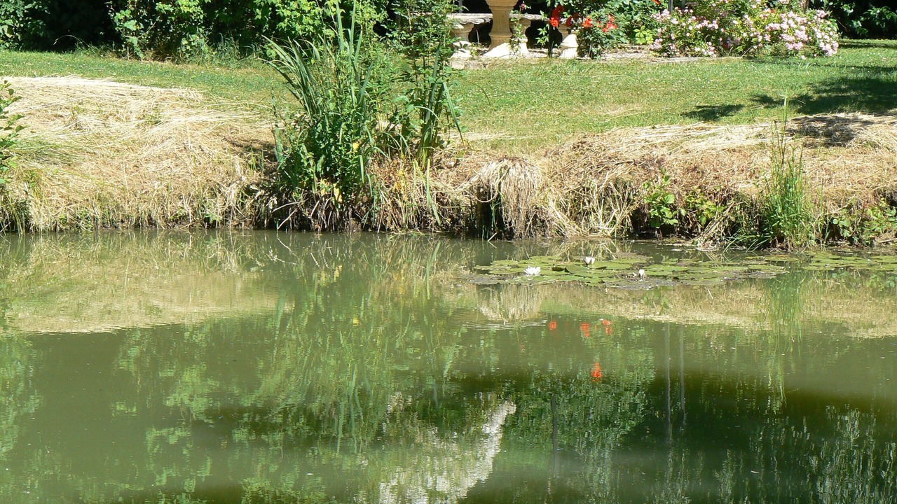 Photo of Outdoor in Sampigny