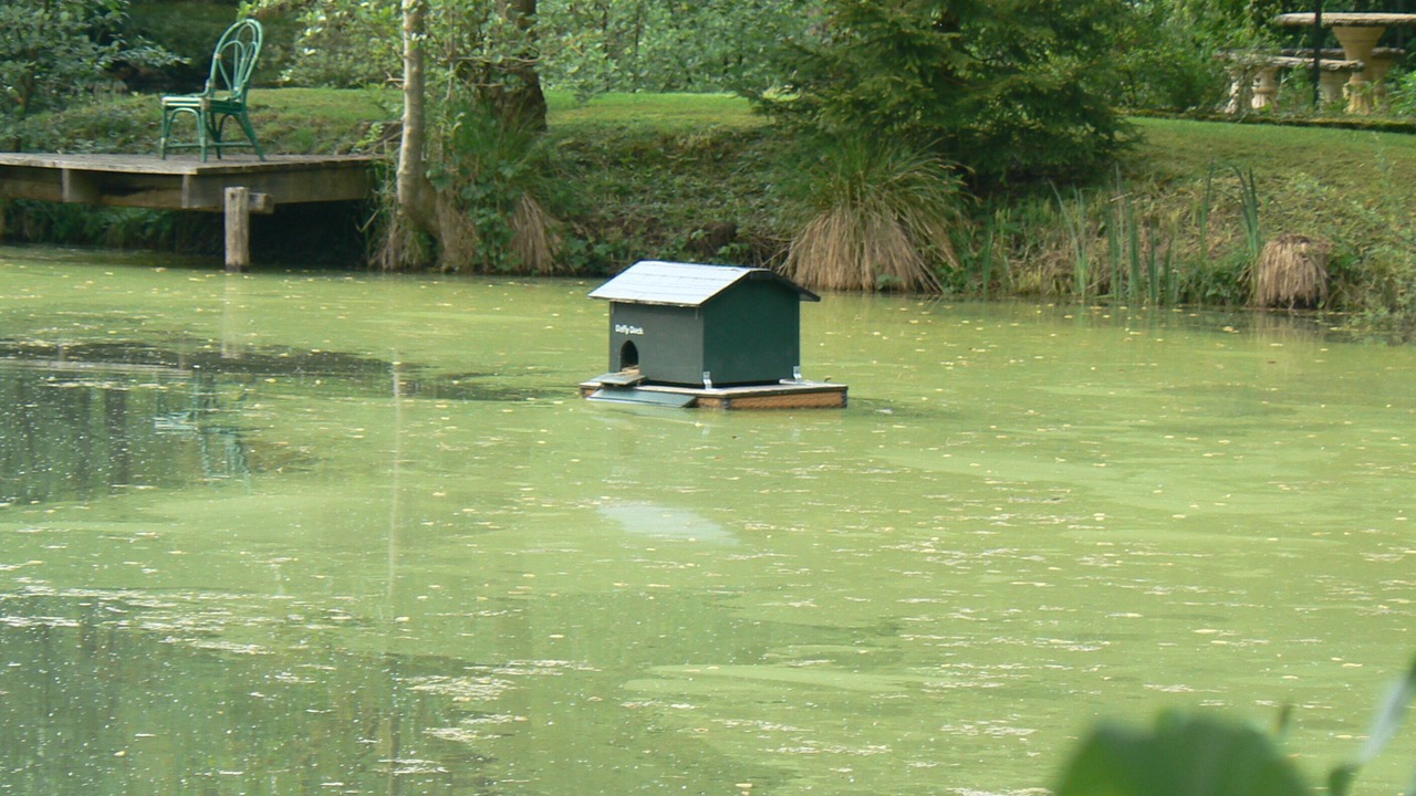 Photo of Others in Sampigny