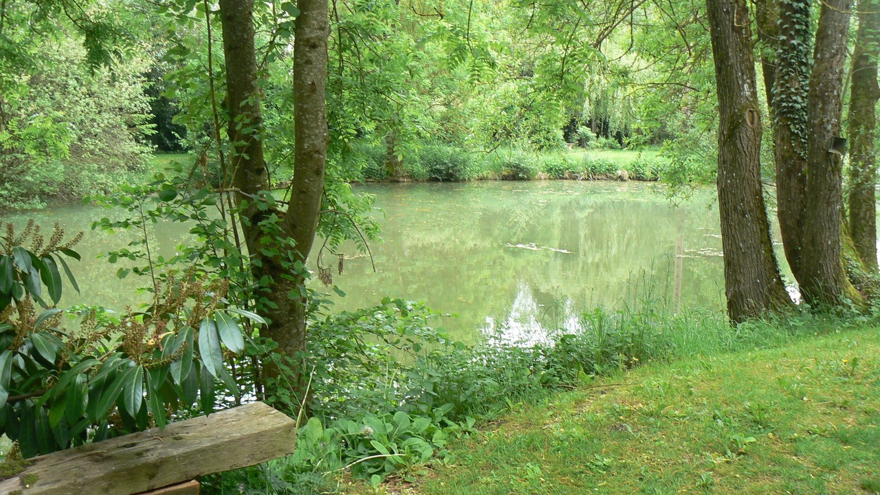 Photo of Outdoor in Sampigny