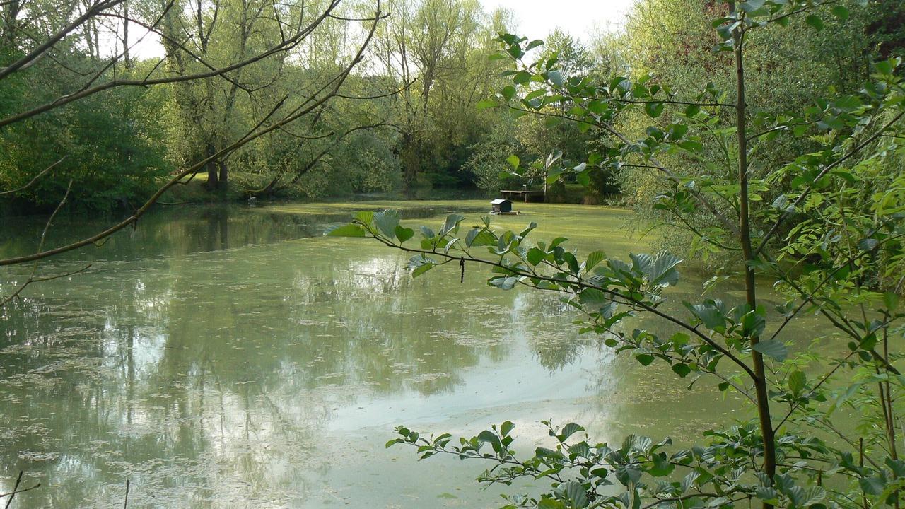 Photo of Others in Sampigny