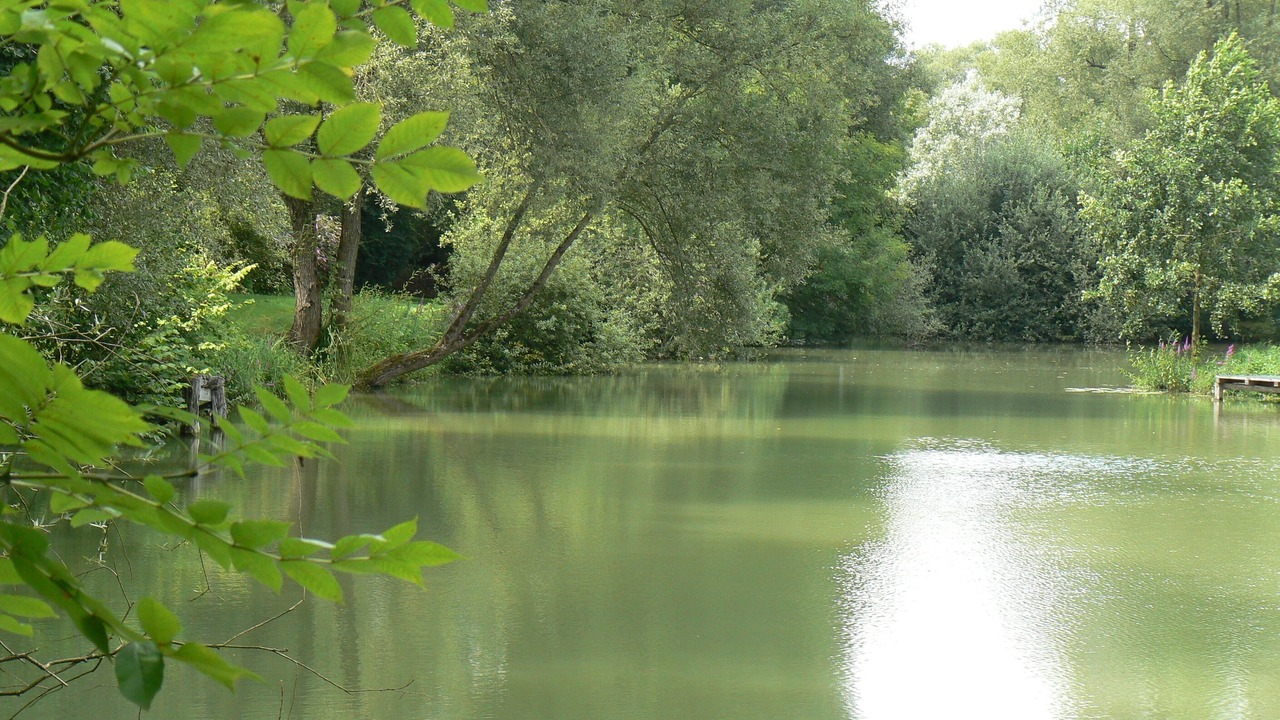 Photo of Outdoor in Sampigny