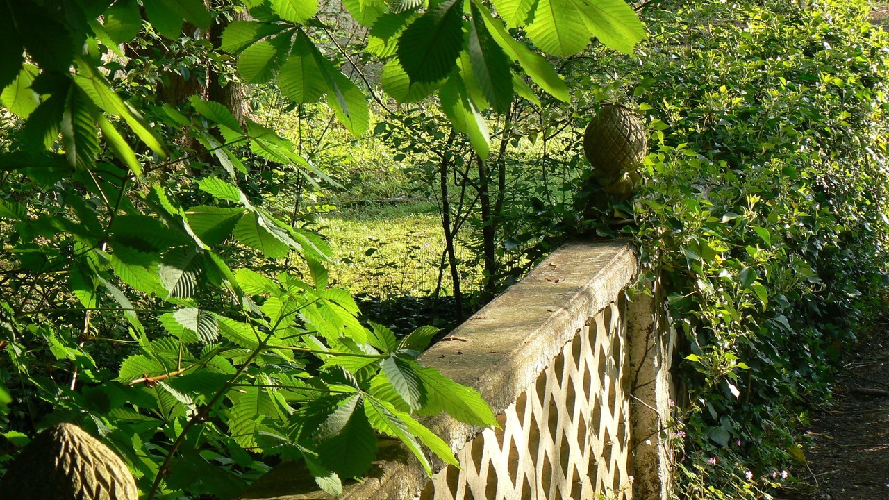 Photo of Outdoor in Sampigny