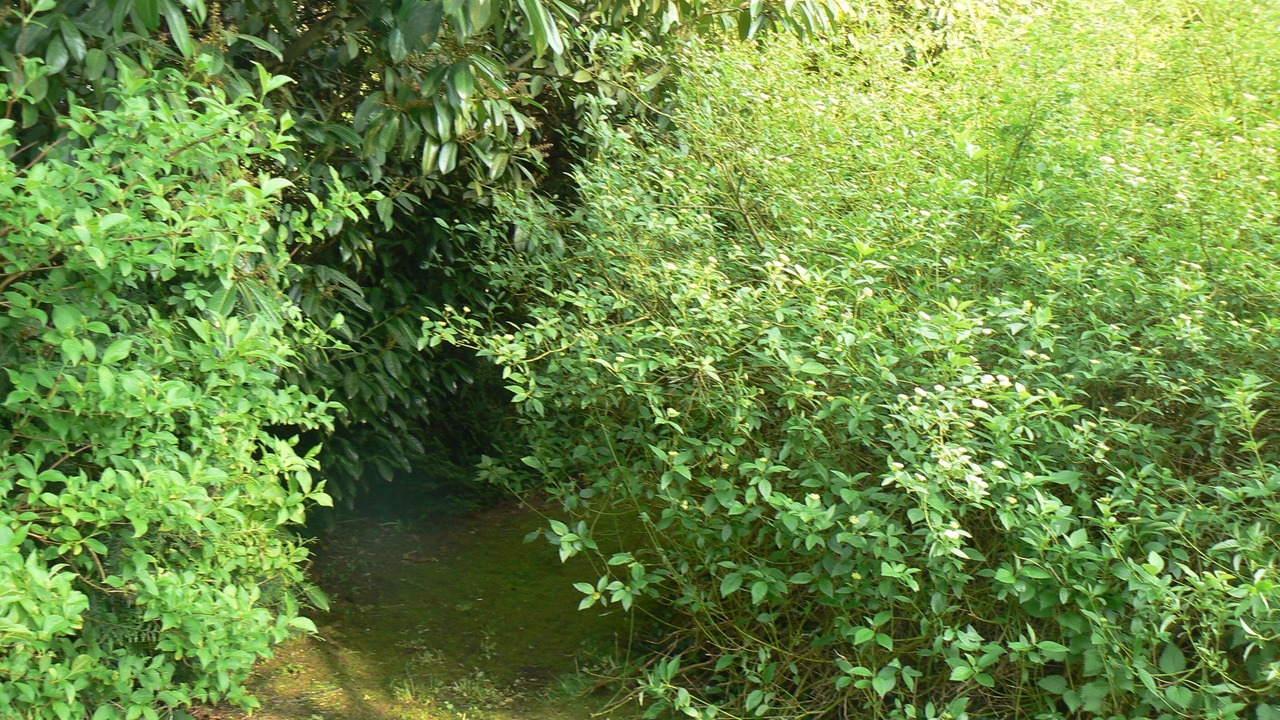 Photo of Outdoor in Sampigny