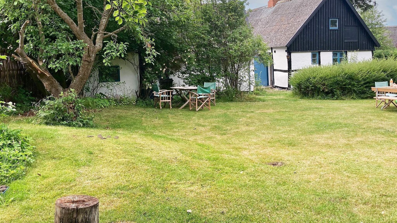 Photo of Outdoor in Bog By