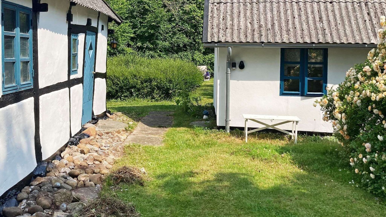Photo of Outdoor in Bog By