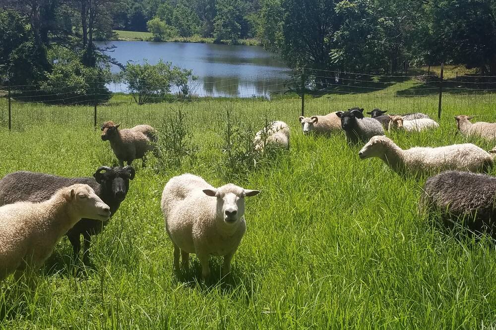 Photo of Others in Cumberland