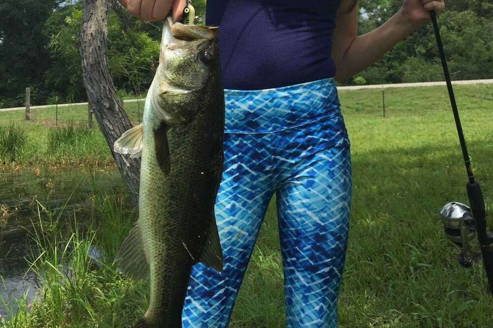 Photo of Others in Needville