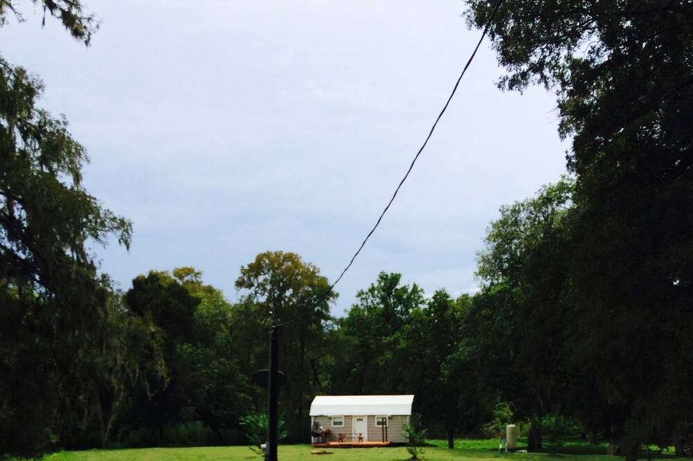 Photo of Others in Needville