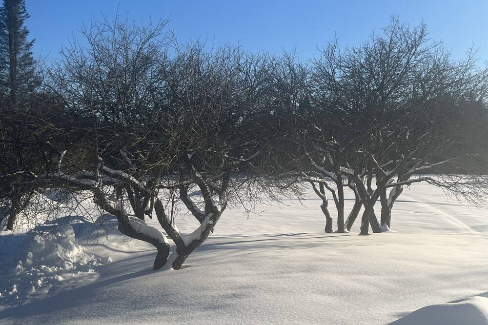 Photo of Others in Cold Brook