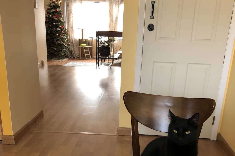 Photo of Others in Somerton