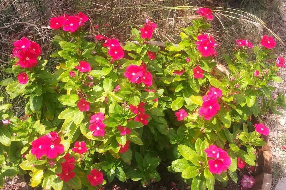 Photo of Outdoor in Blanco