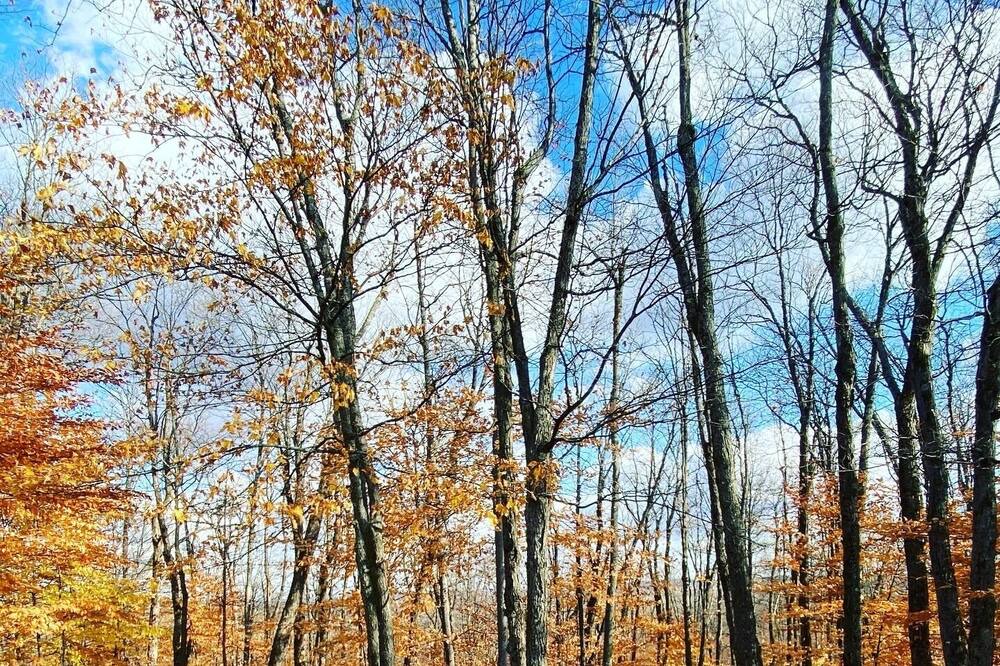 Photo of Outdoor in Morin Heights