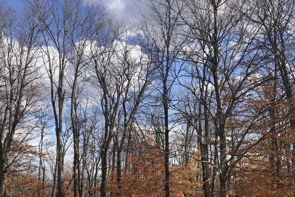 Photo of Outdoor in Morin Heights