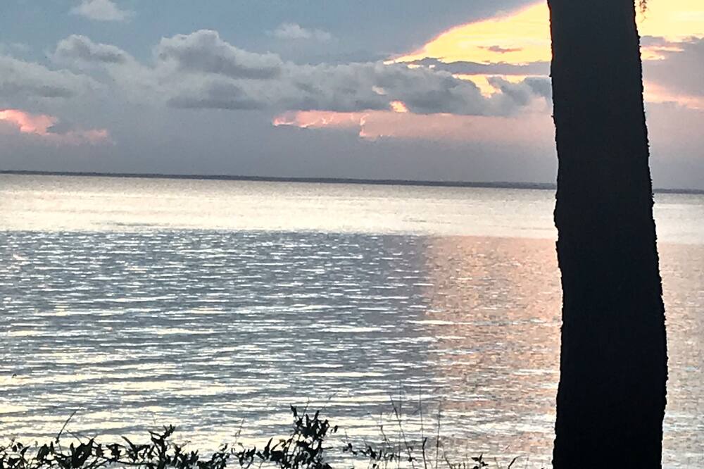 Photo of Others in Mobile