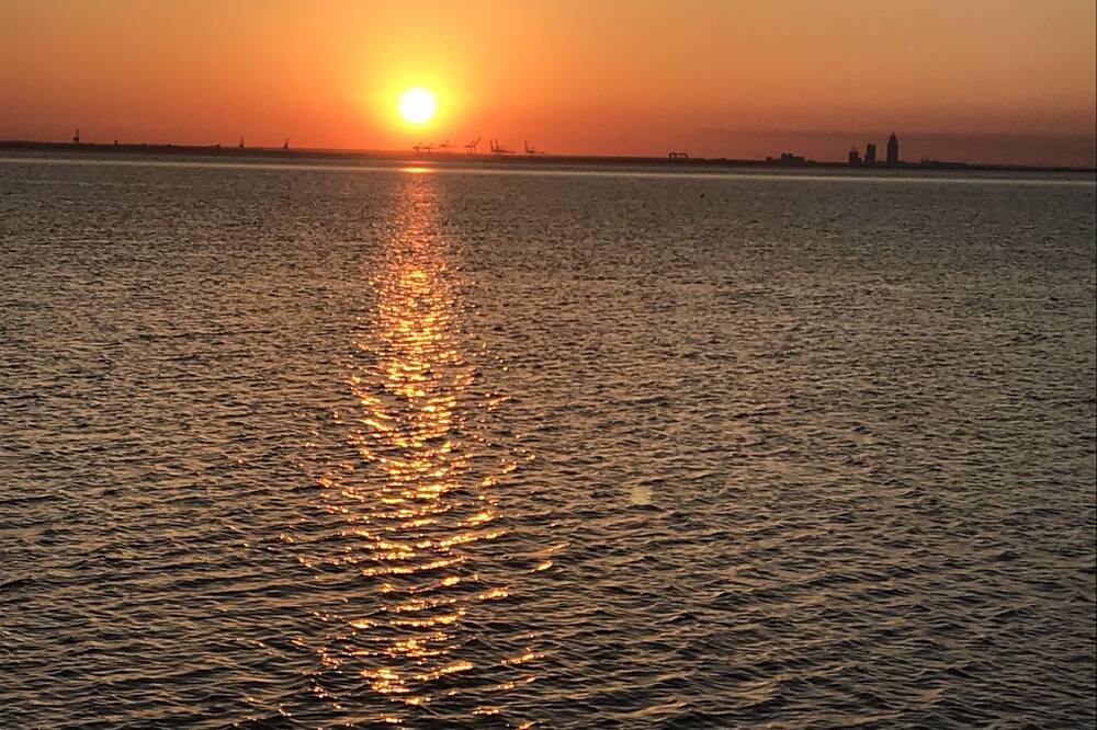 Photo of Others in Mobile