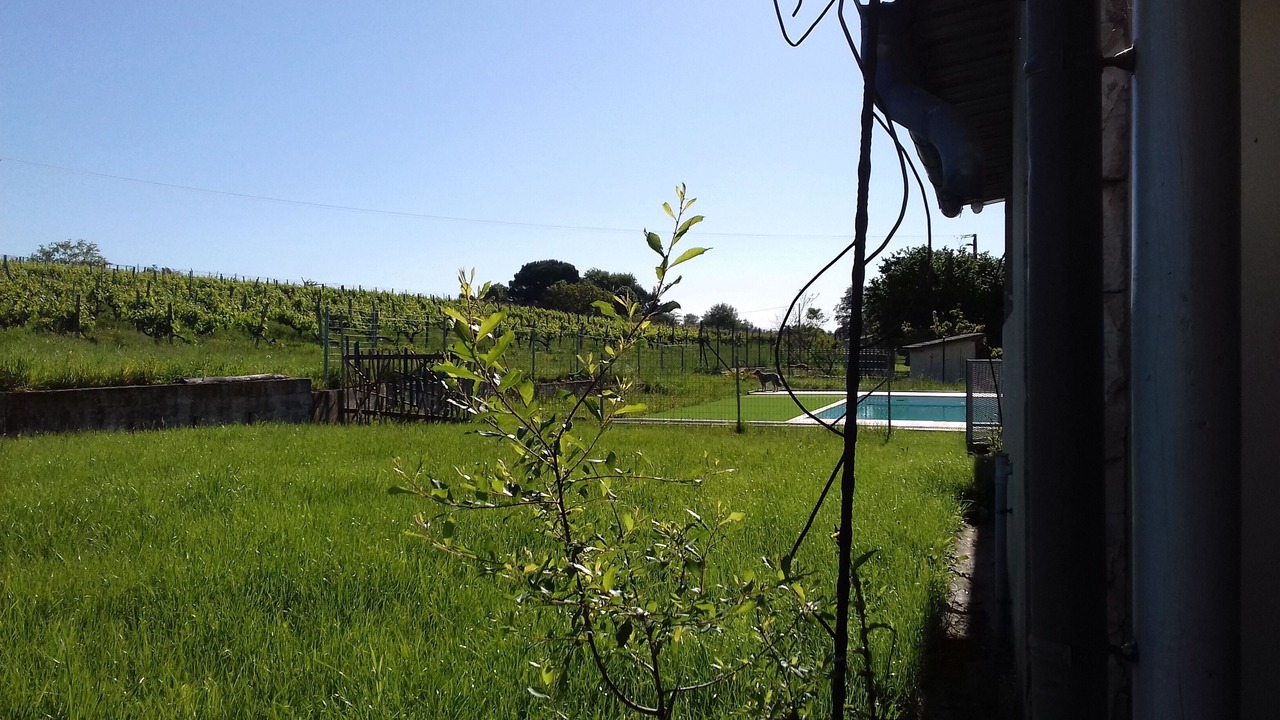 Photo of Others in Saint-Laurent-du-Plan