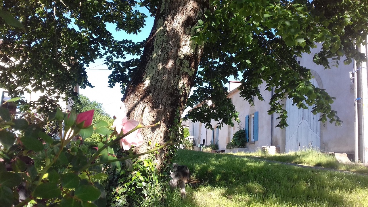 Photo of Outdoor in Saint-Laurent-du-Plan