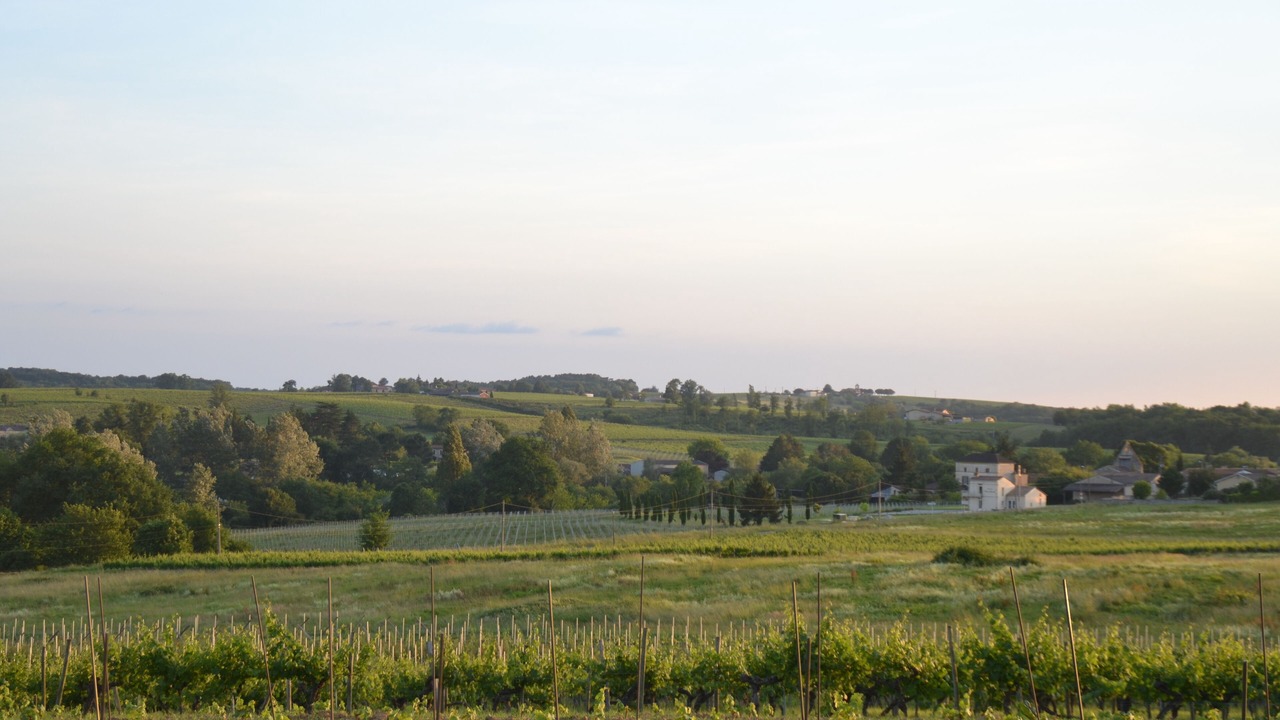 Photo of Others in Saint-Laurent-du-Plan