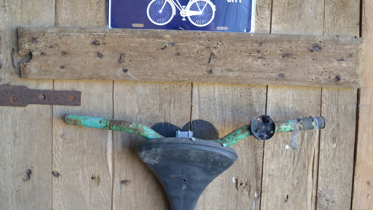 Photo of Others in Saint-Laurent-du-Plan