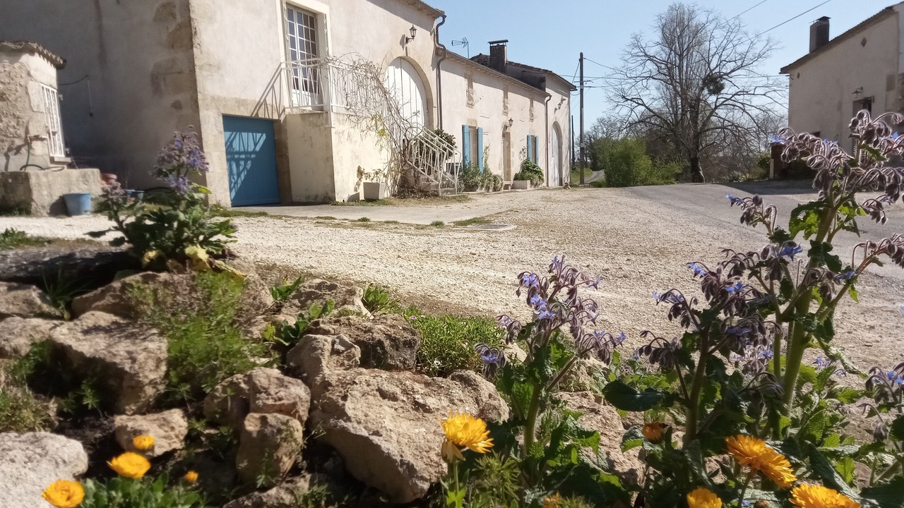 Photo of Outdoor in Saint-Laurent-du-Plan