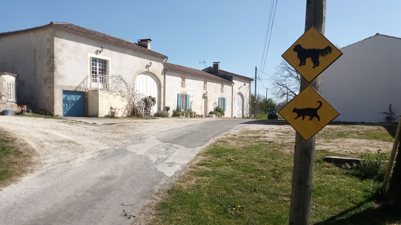 Photo of Outdoor in Saint-Laurent-du-Plan