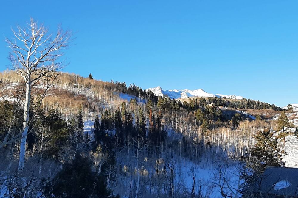 Photo of Others in Elk Meadows