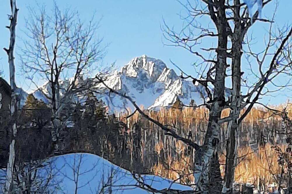 Photo of Others in Elk Meadows