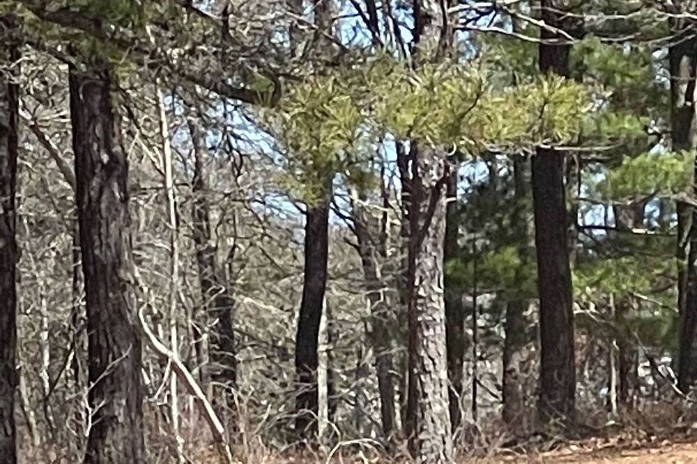 Photo of Outdoor in Woodgate