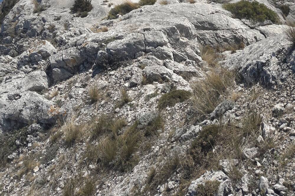 Photo of Others in Le Cannet-des-Maures