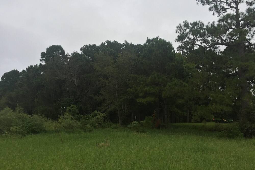Photo of Others in Anacoco