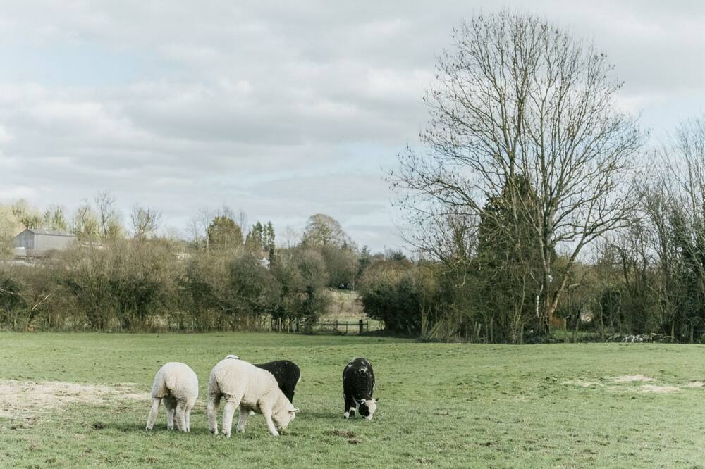 Photo of Others in Maiden Newton