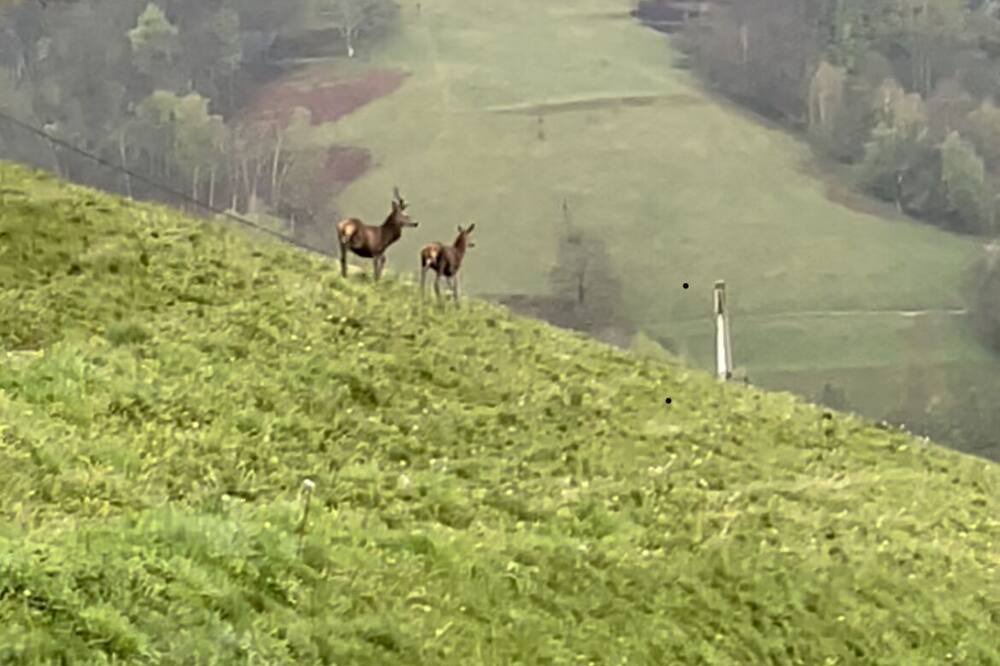 Photo of Others in Labassere