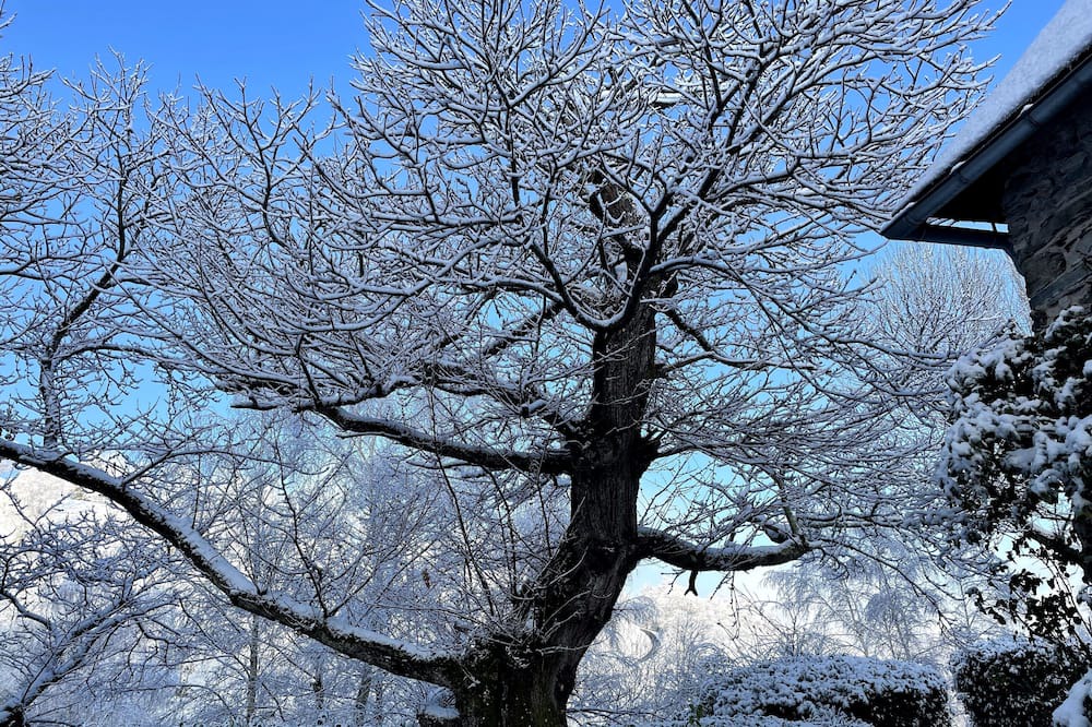 Photo of Outdoor in Labassere